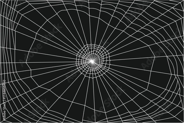 Fototapeta Spider web black background - halloween theme dark background