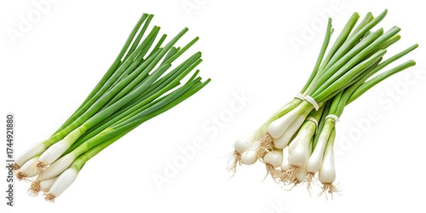 Fototapeta Fresh Green Onions Bunches isolated on transparent background.