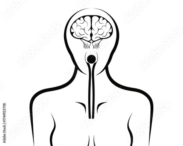 Fototapeta Stylized depiction of a human figure with visible brain and internal connection lines in black and white | editable eps vectors silhouette