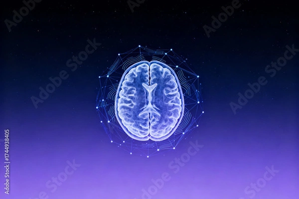 Fototapeta Human brain with digital network overlay