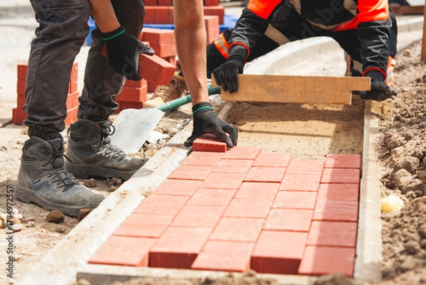 Fototapeta Builder laying paving bricks for footpath at construction site