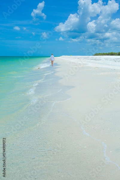 Obraz Tigertail Beach at Marco Island, Florida
