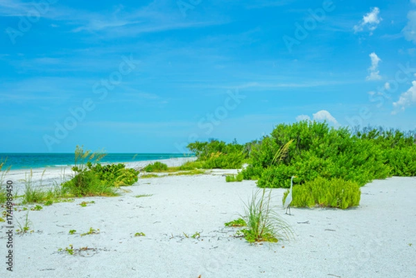 Obraz Tigertail Beach at Marco Island, Florida
