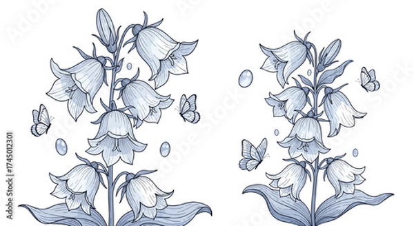 Obraz A delicate illustration of two bellflower clusters with swirling butterflies and tiny dewdrop accents.