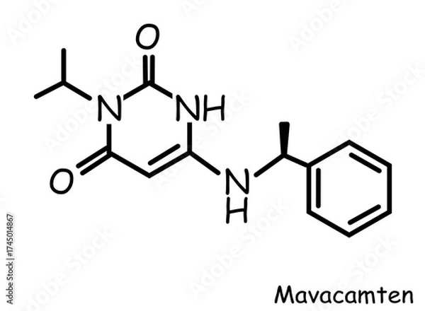 Fototapeta The Chemical structure of mavacamten