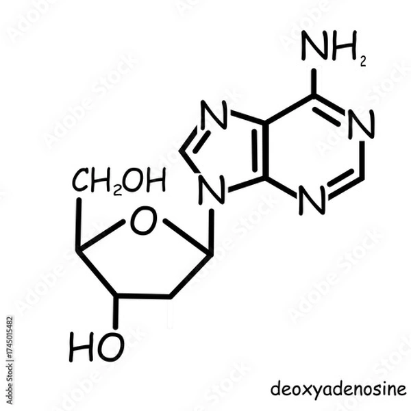 Fototapeta The Chemical structure of deoxyadenosine