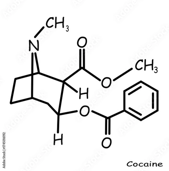 Fototapeta The Chemical structure of cocaine