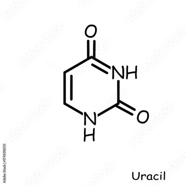 Obraz The Chemical structure of uracil