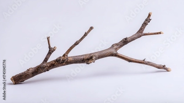Fototapeta A weathered tree branch, showcasing its intricate bark texture and bare twigs against a clean, white backdrop. Nature's raw beauty in minimalist setting.