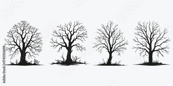Fototapeta old dry tree sketch illustration vector set
