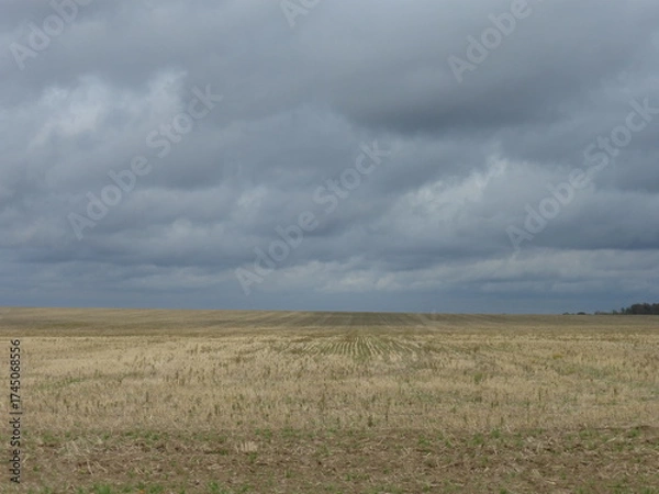Fototapeta Gray Cloudy Sky Over an Autumn Field