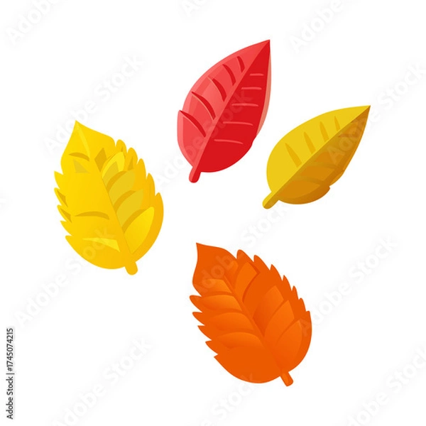 Obraz vector autumn leaves