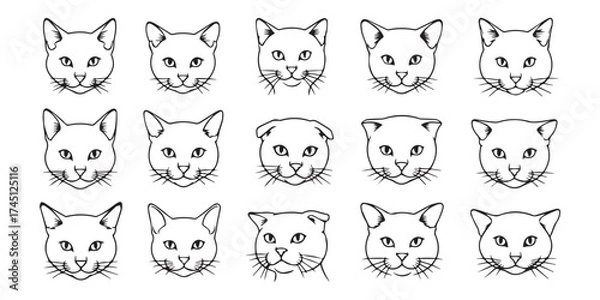Fototapeta black and white cat vector illustration set.