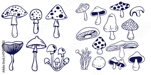 Fototapeta Outline mushrooms doodle big set. Fungi hand drawn sketch of various shapes and sizes isolated on white background
