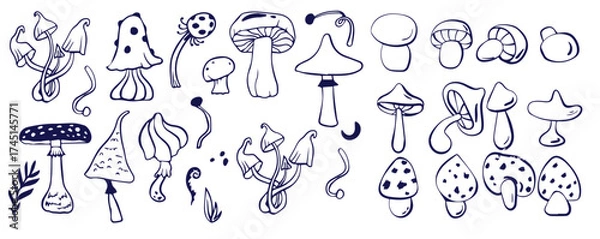 Fototapeta Outline mushrooms doodle big set. Fungi hand drawn sketch of various shapes and sizes isolated on white background