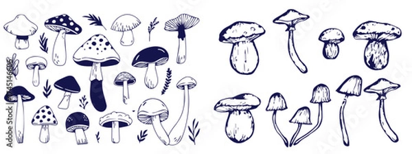 Fototapeta Outline mushrooms doodle big set. Fungi hand drawn sketch of various shapes and sizes isolated on white background