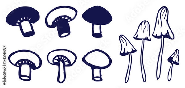 Fototapeta Outline mushrooms doodle big set. Fungi hand drawn sketch of various shapes and sizes isolated on white background