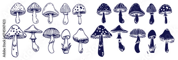 Fototapeta Outline mushrooms doodle big set. Fungi hand drawn sketch of various shapes and sizes isolated on white background