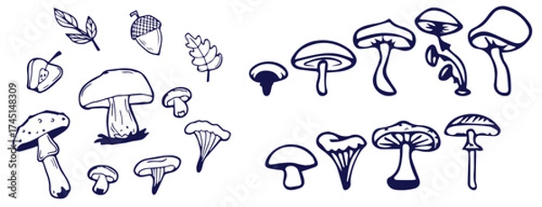 Fototapeta Outline mushrooms doodle big set. Fungi hand drawn sketch of various shapes and sizes isolated on white background