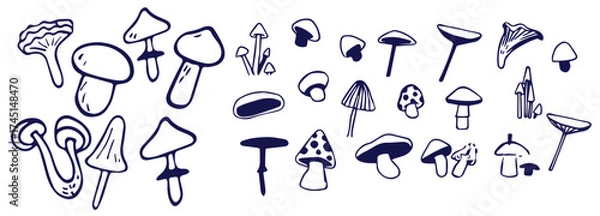 Fototapeta Outline mushrooms doodle big set. Fungi hand drawn sketch of various shapes and sizes isolated on white background