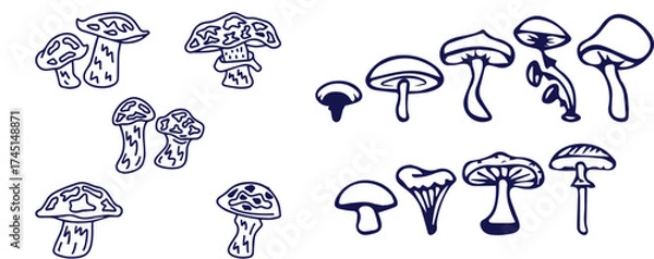 Fototapeta Outline mushrooms doodle big set. Fungi hand drawn sketch of various shapes and sizes isolated on white background
