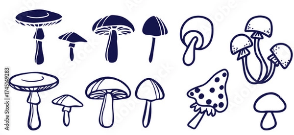 Fototapeta Outline mushrooms doodle big set. Fungi hand drawn sketch of various shapes and sizes isolated on white background