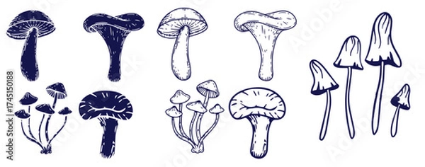 Fototapeta Outline mushrooms doodle big set. Fungi hand drawn sketch of various shapes and sizes isolated on white background