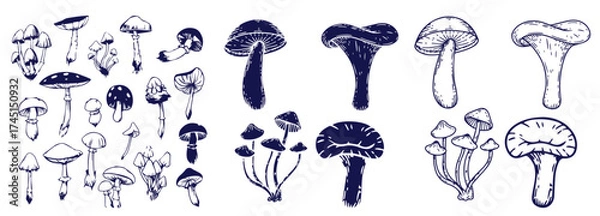 Fototapeta Outline mushrooms doodle big set. Fungi hand drawn sketch of various shapes and sizes isolated on white background