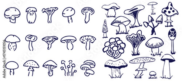 Fototapeta Outline mushrooms doodle big set. Fungi hand drawn sketch of various shapes and sizes isolated on white background