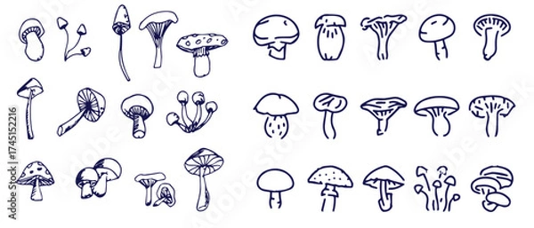 Fototapeta Outline mushrooms doodle big set. Fungi hand drawn sketch of various shapes and sizes isolated on white background