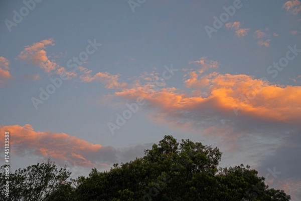 Obraz sunset in the sky