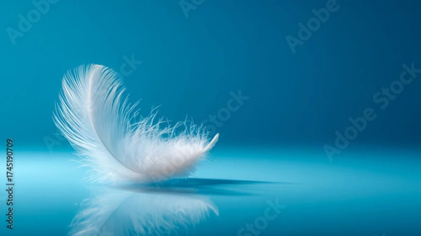 Obraz White Feather Floating on a Blue Background