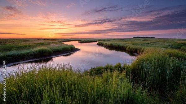 Fototapeta Beautiful sunset over a river with tall grasses