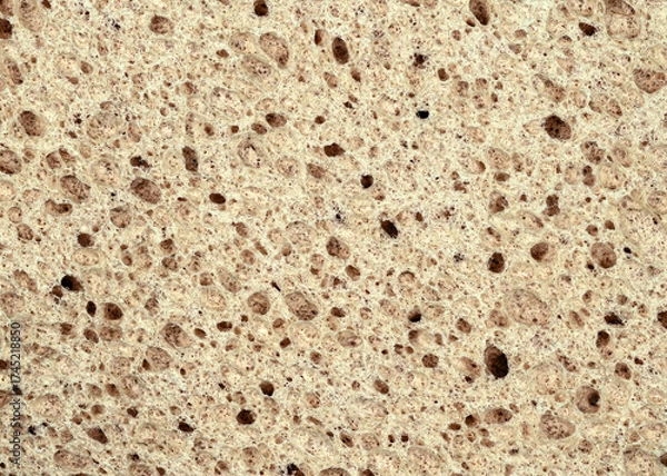 Fototapeta Unique texture of porous stone with varied surface and natural colors found in geological formations
