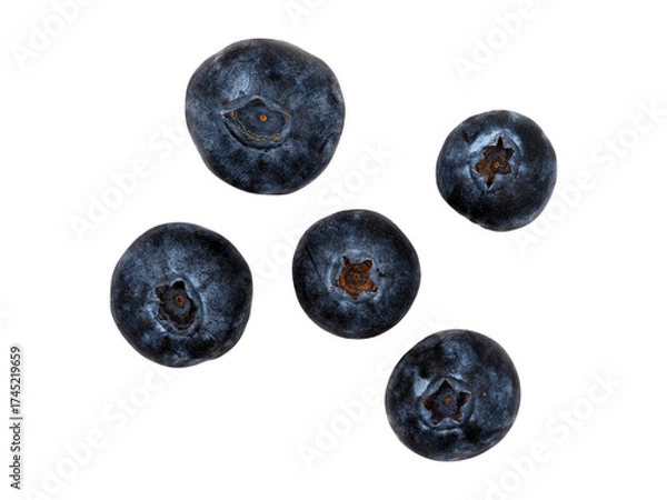 Fototapeta Fresh blueberries arranged stylishly on a plain background for a healthy snack or dessert option