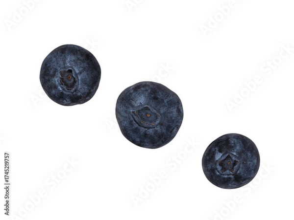 Fototapeta Fresh blueberries arranged in a line set against a white background for a simple and clean look