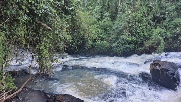 Fototapeta Waterfalls and rivers in the Amazon rainforest
