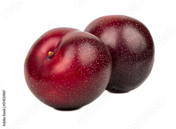Obraz Two big red plums