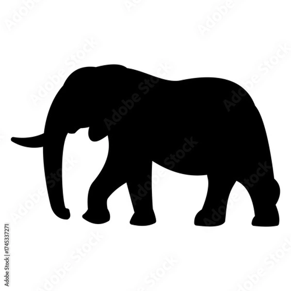 Obraz elephant