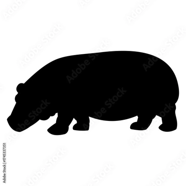 Obraz hippopotamus