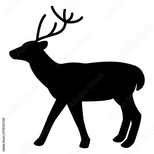 Obraz deer