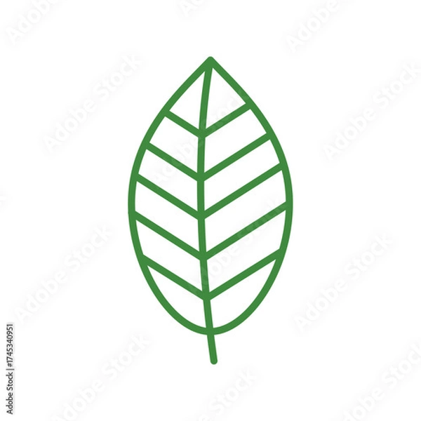 Fototapeta Green Leaf Vector Icon Illustration