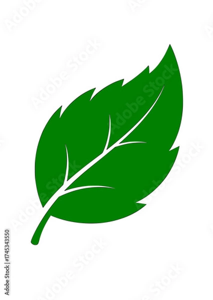 Fototapeta Leaf icon