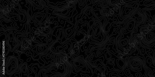 Obraz Topographic map, topographer seamless pattern, typography linear equalizer backdrop. Vector seamless line wave map texture, contour background. Topographic map, topographer seamless pattern.

