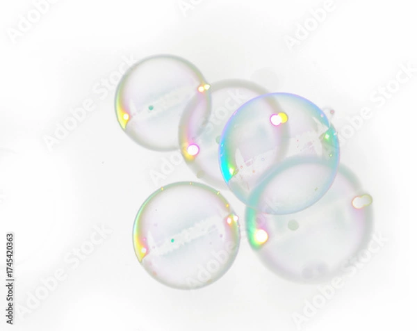 Fototapeta soap bubbles on a white background and bubles png  on transparent background