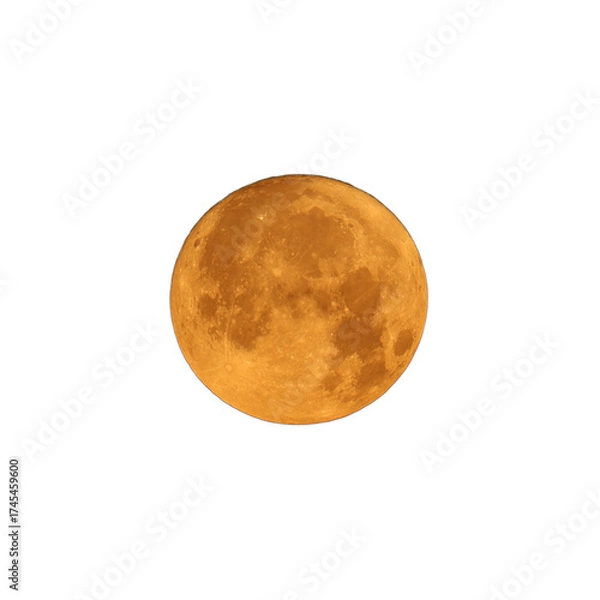 Fototapeta Full July Buck Moon Isolated