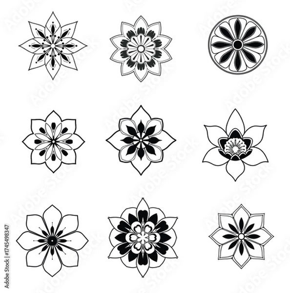 Fototapeta A premium set of black and white flowers and mandala design