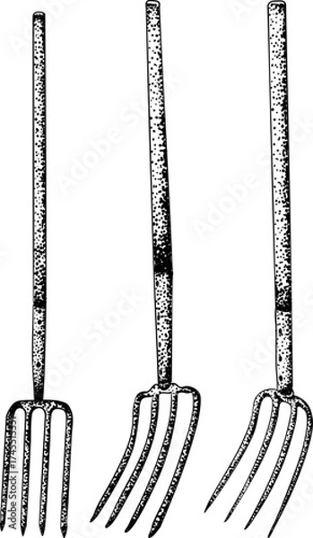 Fototapeta Intricate black-and-white engraving of three garden hoes with detailed dot patterns, perfect for farming, gardening, or rustic design projects.