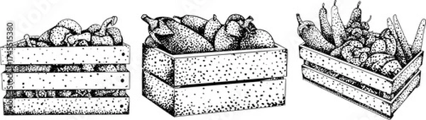 Fototapeta Intricate black-and-white engraving of three crates filled with assorted fruits and vegetables, ideal for farm, market, or rustic design projects.