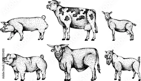 Fototapeta Intricate black-and-white engraving of a cow and foal, perfect for farm, equestrian, or rustic design projects.
